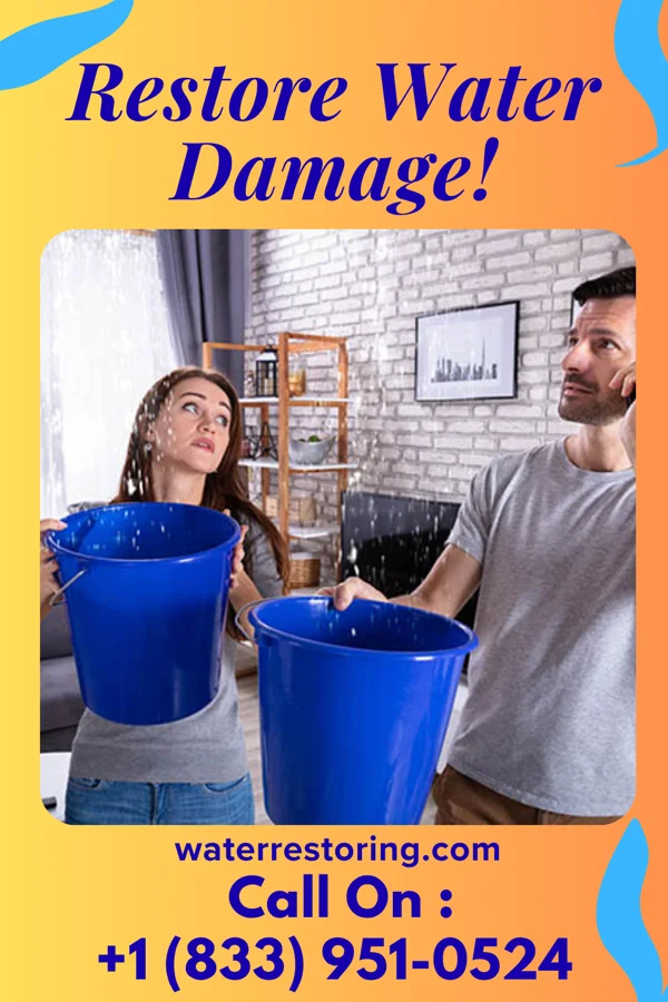 water restoration National Sewage Cleanup Team Clarence