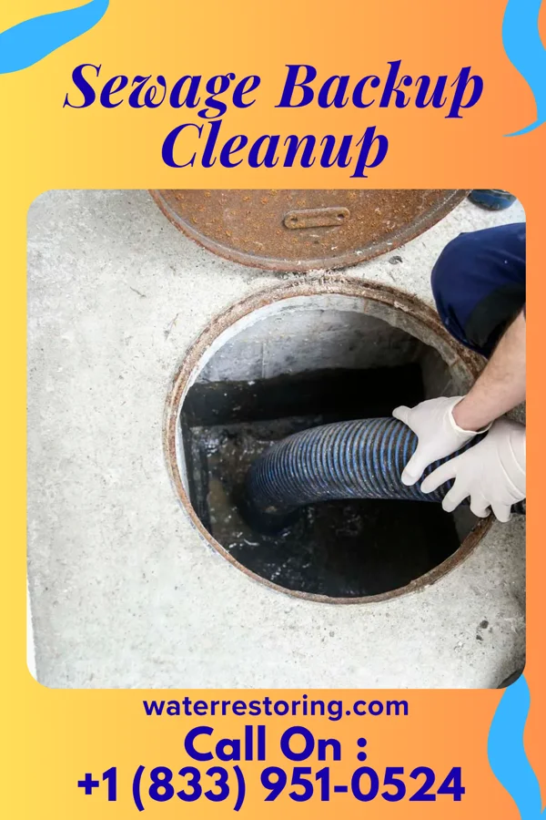Sewage Backup Cleanup in Clarence, LA